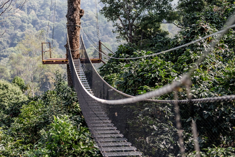 Wooden suspension bridge with netting in a lush green forest canopy at King Kong Smile Zipline.