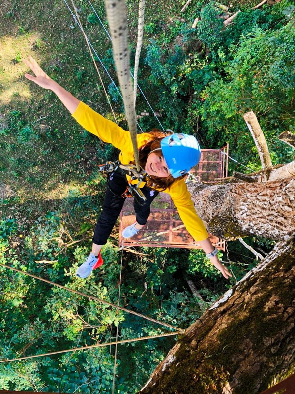 Climber with helmet ascending a tall tree in a lush green forest at King Kong Smile Zipline.