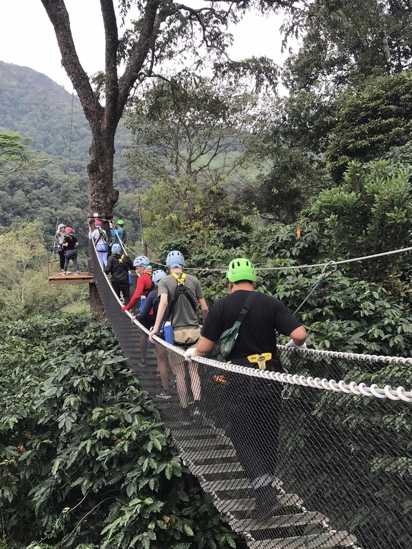 Forest Suspension Bridge Hike at Kingkong Smile Zipline People crossing a suspension bridge surrounded by dense green trees in a forest at Kingkong Smile Zipline.