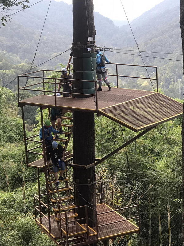 People climbing a metal staircase wrapped around a tall tree in dense forest scenery at King Kong Smile Zipline.