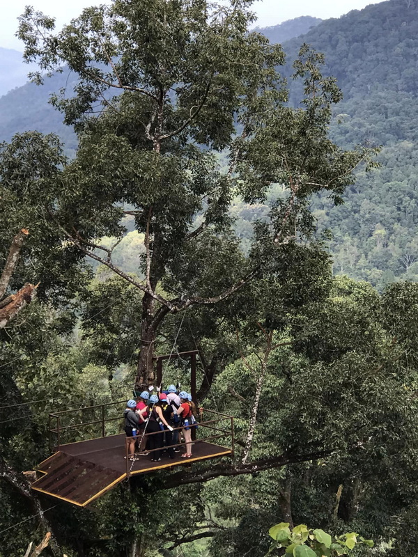 Group of people on a tree platform surrounded by dense forest and mountains at King Kong Smile Zipline.