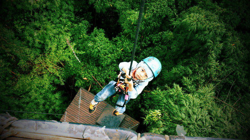Child Ziplining Adventure at Phoenix Adventure Park Child ziplining through lush green trees with safety gear at Phoenix Adventure Park.