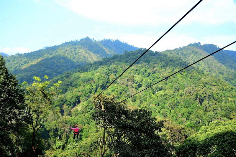 Zip Line Adventure Over Forest at Phoenix Adventure Park Person on a pink zip line ride through lush green forest with mountain backdrop at Phoenix Adventure Park.