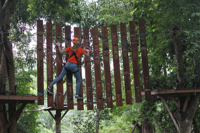 Climber wearing helmet navigating a wooden obstacle in a forested adventure park at Phoenix Adventure Park.