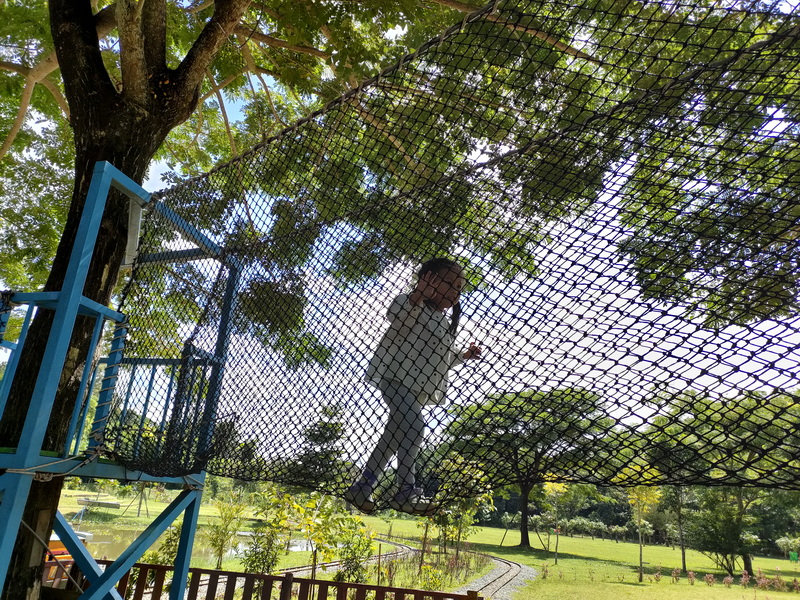 Person walking on a netted obstacle in a lush green park setting at Phoenix Zipline Chiang Mai.