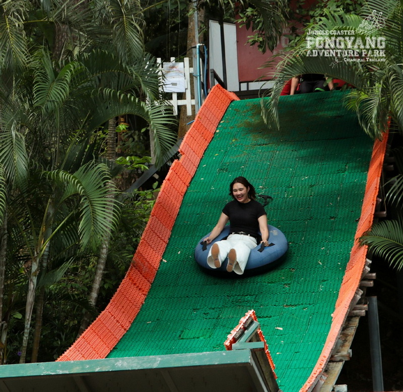 Zipline Adventure in Tropical Forest at Pong Yang Zipline and Jungle Coaster Woman sliding down a colorful zipline surrounded by tropical trees and plants at Pong Yang Zipline and Jungle Coaster.