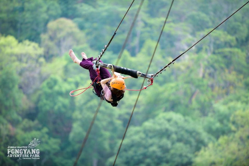 Ziplining Adventure Over Forest at Pong Yang Zipline Person wearing helmet flying on zipline over dense green forest at Pong Yang Zipline.