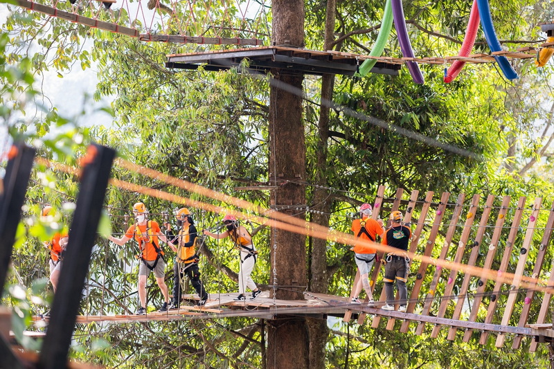 Group crossing a rope bridge among tall trees during adventure activity at Pong Yang Zipline and Jungle Coaster.