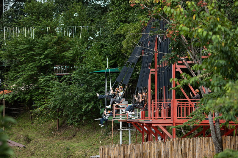 Outdoor Swing Ride Amidst Trees at Chiang Mai Skyline Adventure People enjoying a swing ride among lush trees outdoors at Chiang Mai Skyline Adventure.