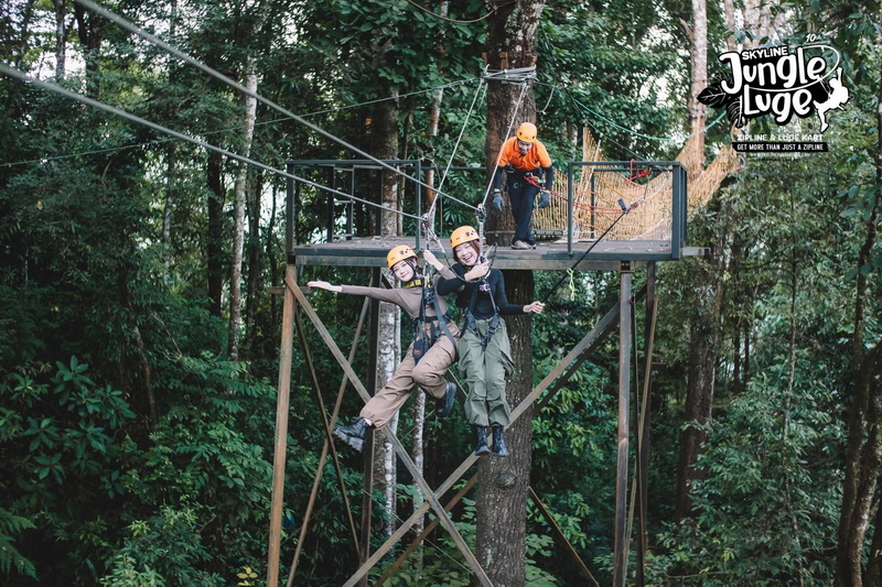 Group of four people in helmets on a platform among tall trees in forest at Skyline Jungle Luge.