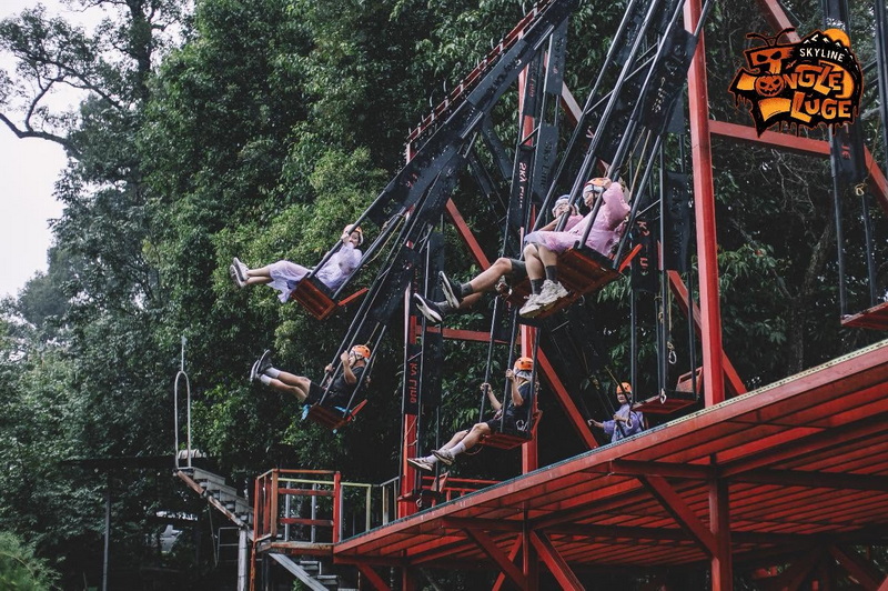 Children on Jungle Luge Swings at Chiang Mai Skyline Adventure Children on swings attached to a red amusement park structure surrounded by trees at Chiang Mai Skyline Adventure.