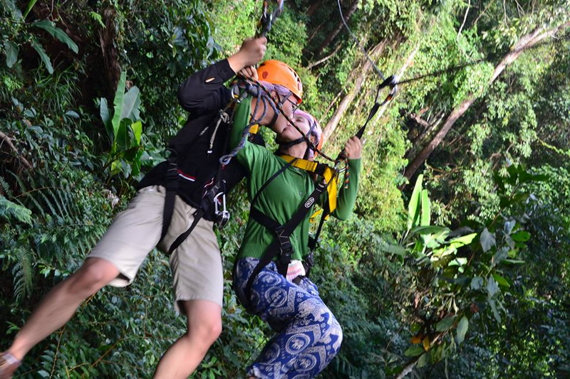 Two individuals with helmets and harnesses swinging among lush jungle trees at Skyline Jungle Luge.
