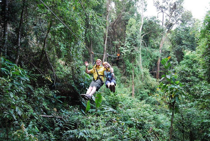 Forest Zipline Adventure at Skyline Jungle Luge Two people riding a zipline through a lush green forest canopy at Skyline Jungle Luge.