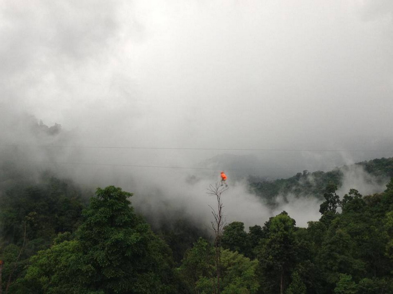 Mountain Climber in Foggy Forest at Skyline Jungle Luge Climber in orange gear ascending a tall tree in foggy mountain forest at Skyline Jungle Luge.