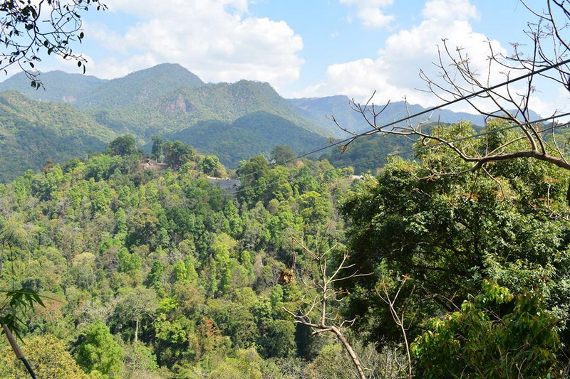 Scenic Mountain Forest View at Chiang Mai Zipline Wide view of lush green forest with mountain range under a partly cloudy sky at Chiang Mai Zipline.