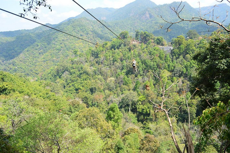 Mountain Zip Line Adventure at Skyline Jungle Luge A zip line crossing a forested mountain landscape with hills in the background at Skyline Jungle Luge.