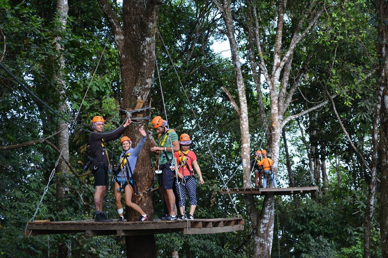 Tree Top Adventure Platform at Chiang Mai Skyline Adventure People wearing helmets and harnesses on a suspended platform amid dense trees at Chiang Mai Skyline Adventure.