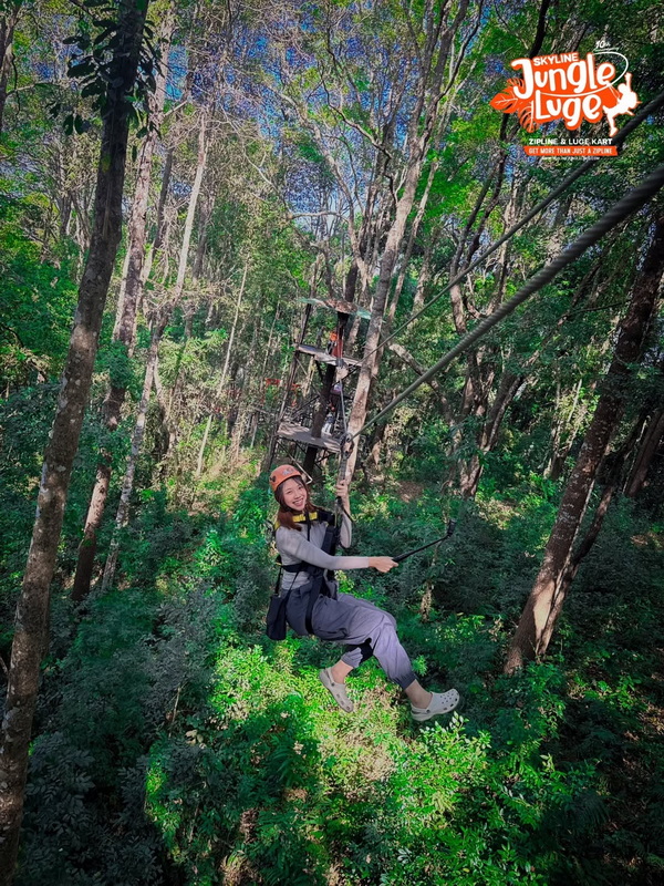Forest Ziplining Adventure at Chiang Mai Skyline Adventure Woman ziplining through lush forest trees with safety gear on at Chiang Mai Skyline Adventure.