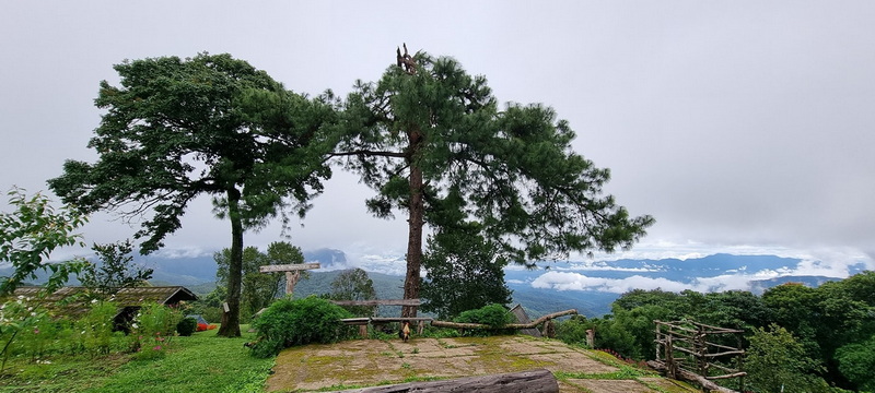 Trees and distant mountains seen from a viewpoint at Doi Luang Chiang Dao.