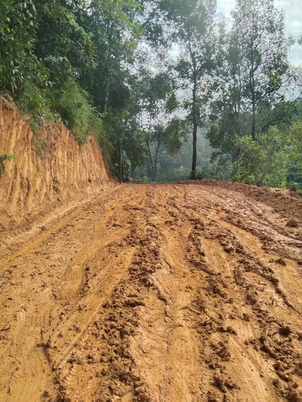 Muddy dirt trail with trees and soil bank on side at Doi Luang Chiang Dao.