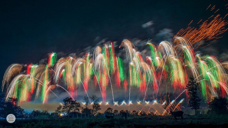 Night Fireworks Display at Chiang Mai New Year Countdown 2027 by CAD Fireworks lighting up the night sky over a landscape with trees and a horse silhouette at Chiang Mai New Year Countdown 2027 by CAD.