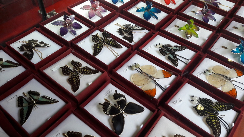 Butterfly Jewelry Display at Chiang Mai Orchid Farms Colorful butterfly jewelry pieces arranged in display boxes on a white surface at Chiang Mai Orchid Farms.