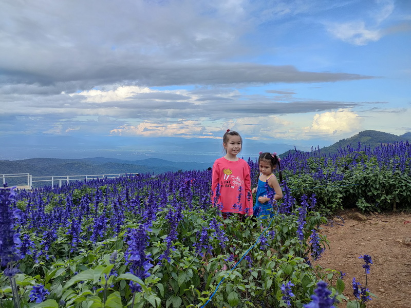 Girls in Flower Field at Mon Jam Two girls in colorful outfits standing among purple flowers with mountains in the background at Mon Jam.