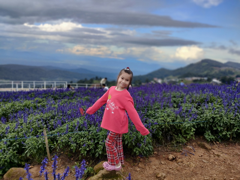 Girl in pink standing among purple flowers with hills and cloudy sky behind her at Mon Jam.