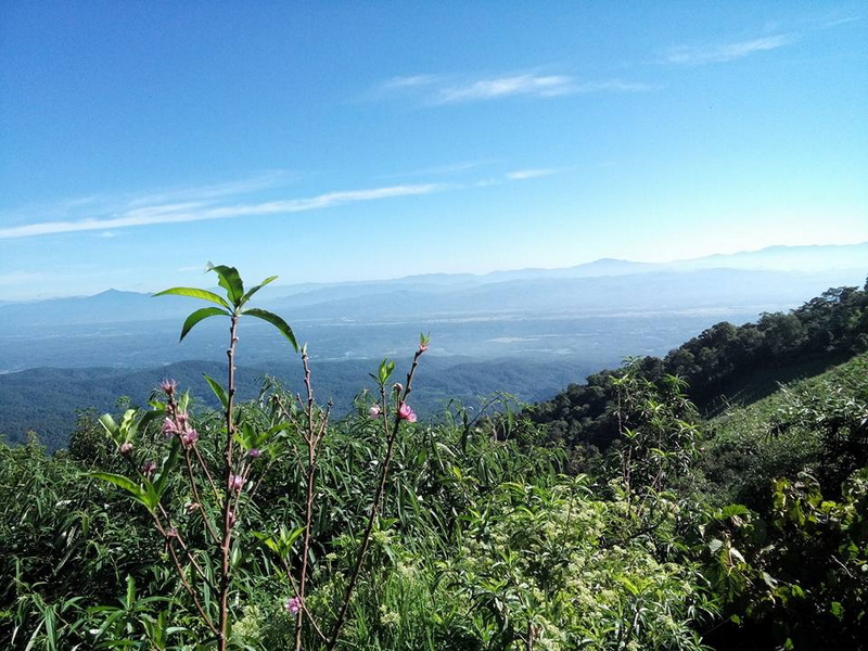 Scenic Mountain View at Mon Jam Panoramic landscape of green hills and distant mountains under a bright sky at Mon Jam.