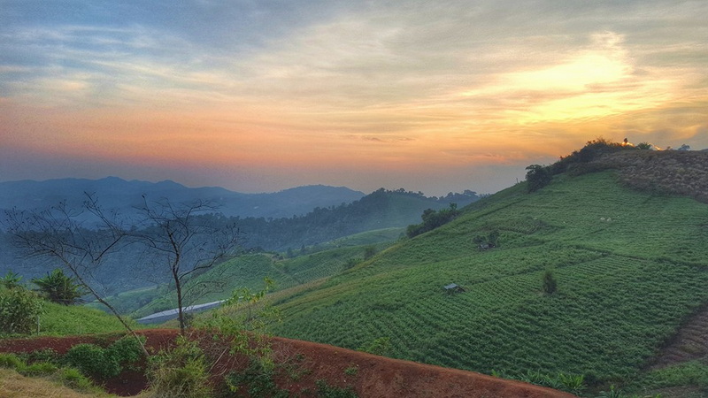 Landscape of lush green hills with a mountain range and sunset in the background at Mon Jam.