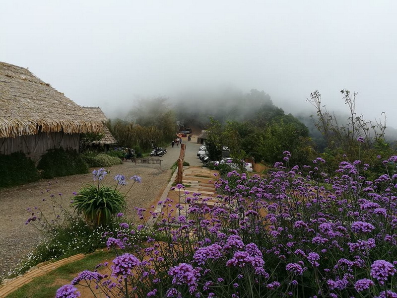 Flower-lined Path in Foggy Landscape at Mon Jam Pathway with purple flowers leading into a foggy landscape with huts and motorcycles at Mon Jam.