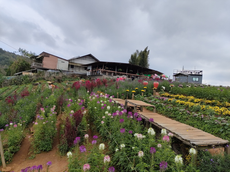 Colorful flower garden with pathway leading to buildings on hilltop under cloudy sky at Mon Jam.