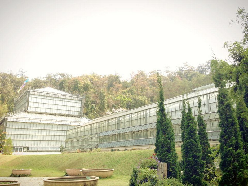 Greenhouse in Lush Garden at Flower Park Chiang Mai Glass greenhouse with multiple levels amidst lush green trees and plants at Flower Park Chiang Mai.