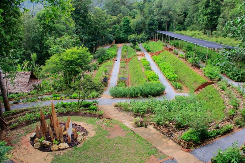 Terraced Garden Scene at Best Flower Gardens in Chiang Mai Terraced garden with organized plant beds and a pathway surrounded by trees at Best Flower Gardens in Chiang Mai.