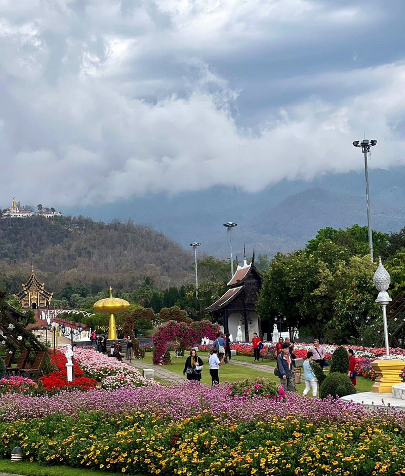 Colorful Garden Scene with Mountains at Best Flower Gardens in Chiang Mai People walk through a beautifully arranged flower garden with traditional buildings and mountain backdrop at Best Flower Gardens in Chiang Mai.