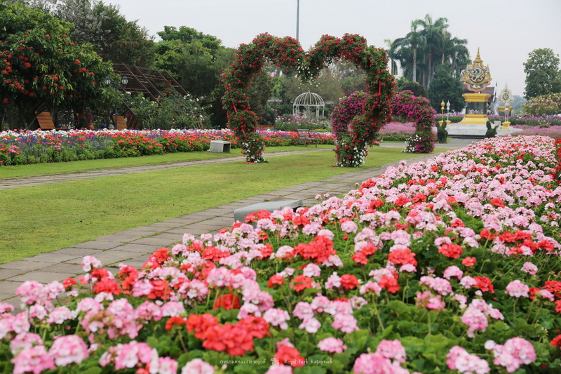 Floral Garden Scene at Best Flower Gardens in Chiang Mai Colorful flower garden with arches and statues in a lush park setting at Best Flower Gardens in Chiang Mai.