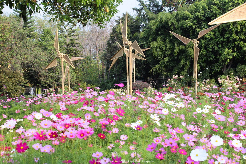 Colorful flower garden with wooden sculptures and lush trees in the background at Royal Flora Ratchaphruek.