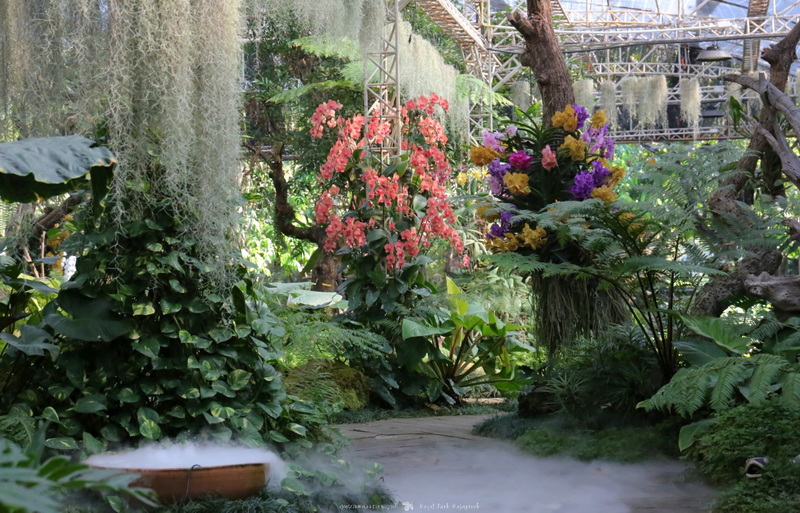 Indoor Botanical Garden Scene at Flower Park Chiang Mai Indoor botanical garden with colorful flowers and lush greenery at Flower Park Chiang Mai.