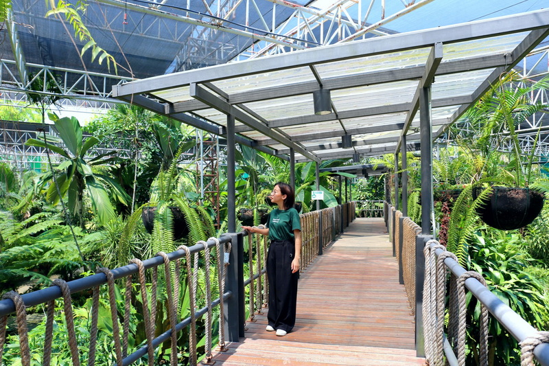 Woman walking along a wooden path surrounded by tropical plants inside a greenhouse at Floral Gardens Chiang Mai.