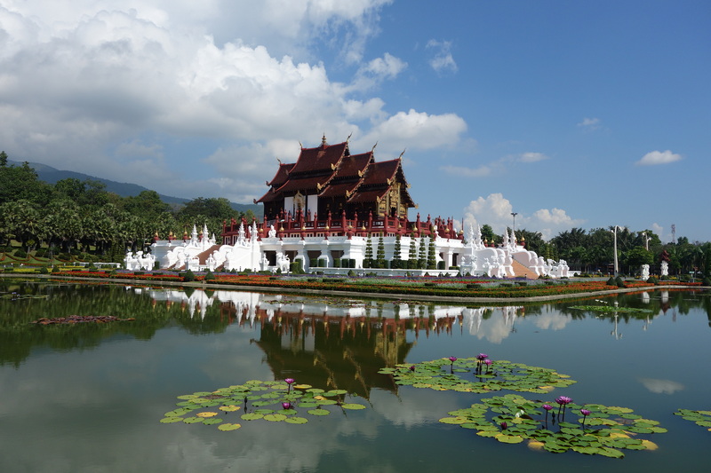 Traditional Asian temple reflected in a pond with water lilies and lush greenery at Chiang Mai Flower Fields.