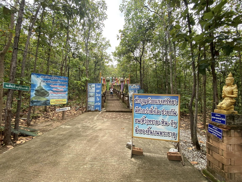 Forest Entrance with Buddha Statue at Wat Phra That in Kwaen Concrete path surrounded by trees with signs and a golden Buddha statue at the entrance at Wat Phra That in Kwaen.