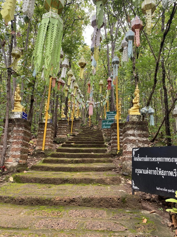 Forest Staircase with Lanterns at Wat Phra That in Kwaen Stone staircase with colorful lanterns and golden statues among trees in a forest at Wat Phra That in Kwaen.