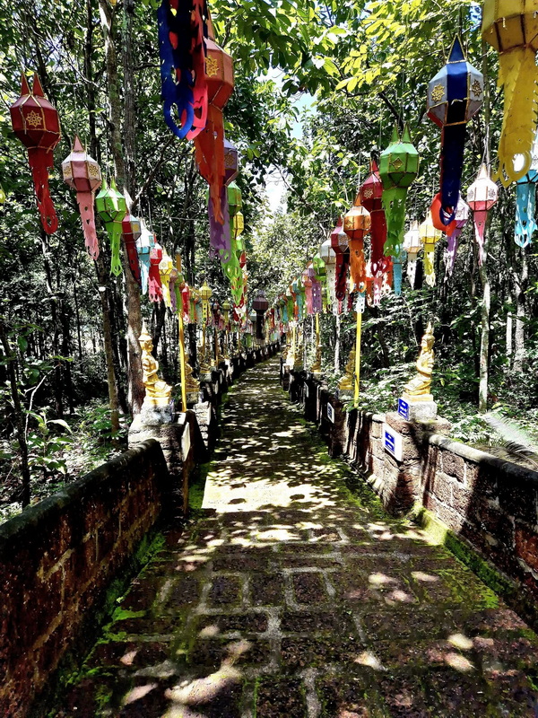 Colorful Lantern Trail in Forest at Phra That in Kwaen Stone trail lined with colorful lanterns hanging from trees in a lush forest setting at Phra That in Kwaen.