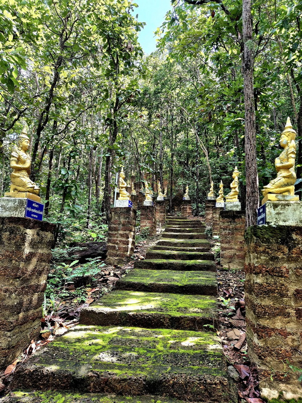 Mossy Forest Steps at Phra That in Kwaen Moss-covered stone steps leading through a lush green forest with statues along the sides at Phra That in Kwaen.