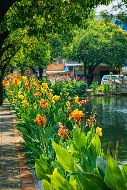 A garden pathway with colorful flowers beside a calm pond surrounded by trees at Three kings Monument.