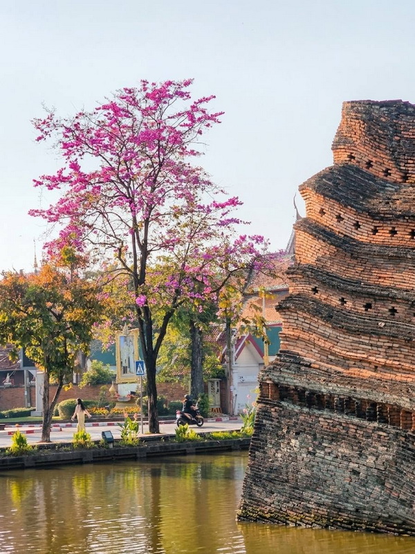 Historic Brick Structure and Blossoming Trees at Three kings Monument Brick structure leaning over water with pink and yellow flowering trees in the background at Three kings Monument.