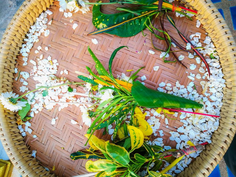 Basket of Leaves and Petals at Wat Chedi Luang Woven basket with green and yellow leaves and scattered flower petals inside at Wat Chedi Luang.
