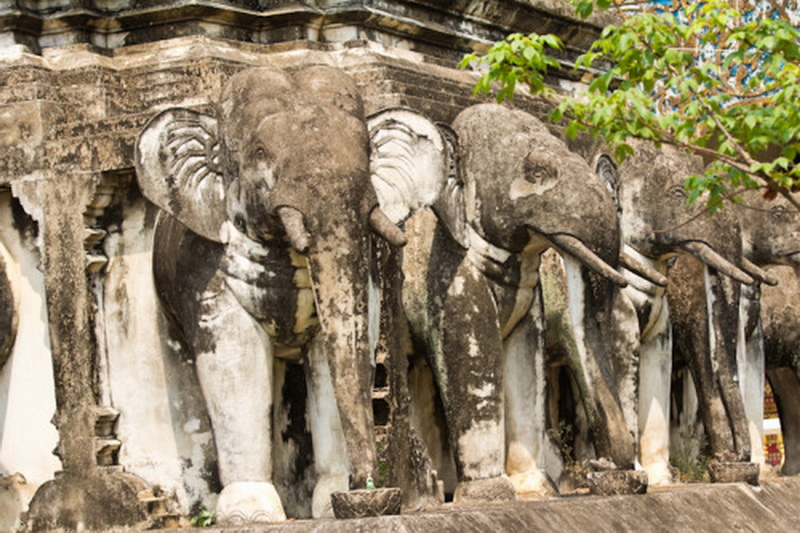 Three stone elephant sculptures with detailed carvings and weathered surfaces at Chiang Man Temple.