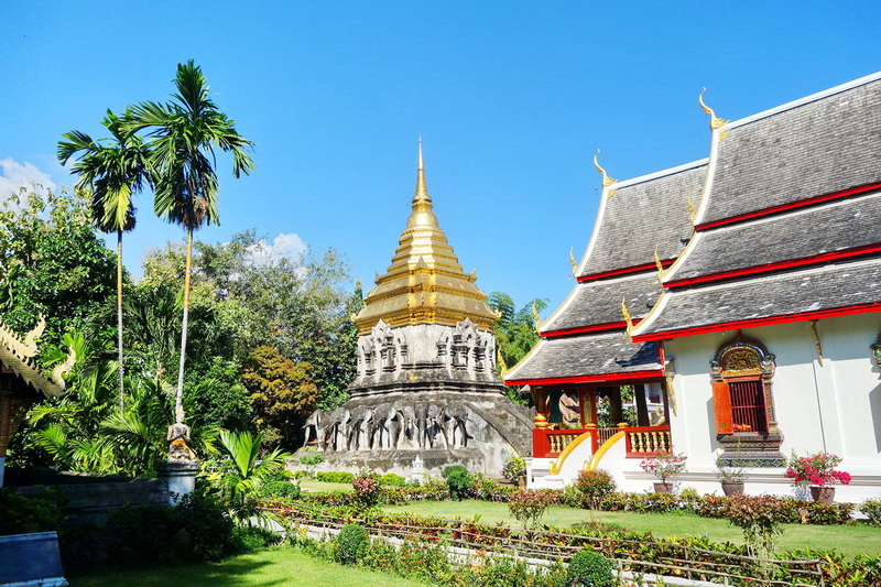 Wat Chiang Man Architecture Golden pagoda with surrounding trees and traditional temple buildings under a blue sky at Wat Chiang Man.