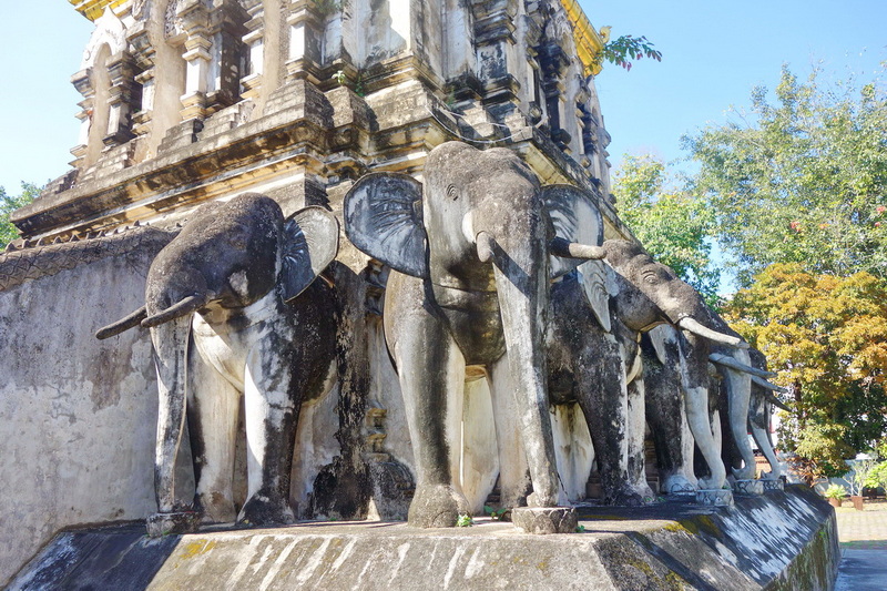 Carved stone elephants in front of an ornate temple structure with trees nearby at Chiang Man Temple.